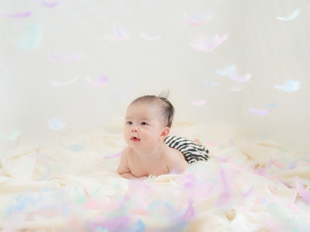 2月のあかちゃん撮影会のお知らせ